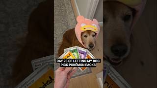 Day 98 Shiny Pokémon hunting! ⭐️🔥🐕 #pokemon #pokemoncards #pokemontcg #dog #slowpoke