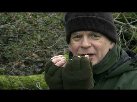 Leaning Into The Wind (2018) Hollywood Movie Trailers