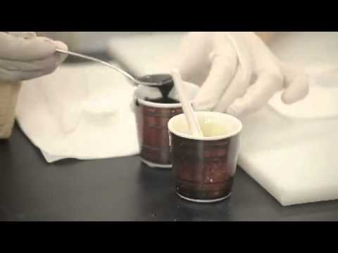 QUATRO RECEITAS DE QUEIJOS PARA O NATAL E ANO-NOVO