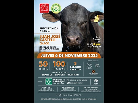 REMATE ESTANCIA EL BAGUAL, JUAN JOSÉ CASTELLI - CHACO