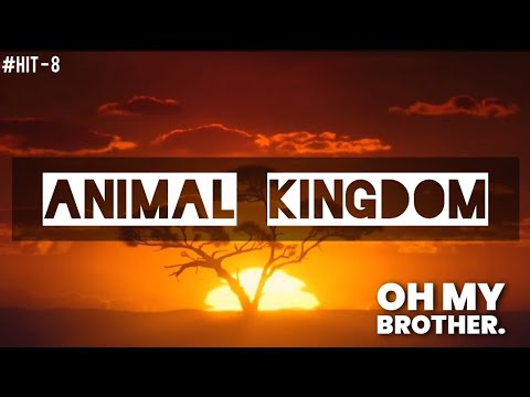Animal Kingdom | MARS RECORDS | (Original music audios).Make it the most viral animal video.