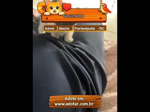Vídeo de Sustenido