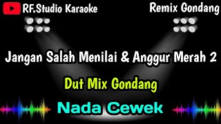 Download lagu JANGAN SALAH MENILAI & ANGGUR MERAH 2 [Karaoke] NADA CEWEK Versi Dut mix Gondang @rfstudiokaraoke  mp3