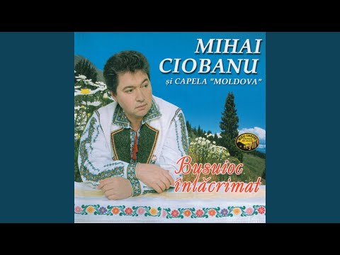 Mandrulita din Bihor (feat. Capela corala "Moldova")