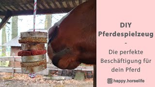 DIY Pferdespielzeug | Pferdebeschäftigung oder Pferdeleckerli | einfach & schnell | gegen Langeweile