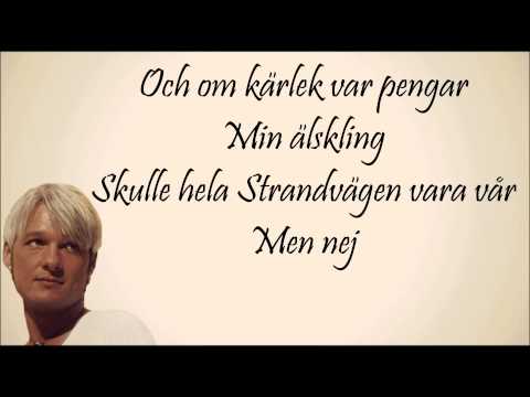 Mathias Holmgren - Nästa år blir vårt [fan made lyrics video]