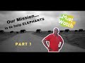 PART 1 On A MISSION To Save ELEPHANTS