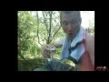 А Жизнь Весёлый Карнавал! 