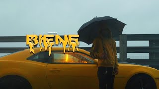 Biene Music Video