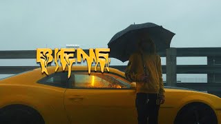 Biene Music Video