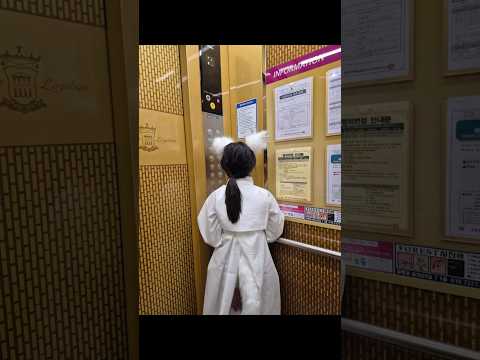 거리를 떠도는 구미호 ​街をうろつく九尾の狐 #한여름밤의오싹호러페스티벌
