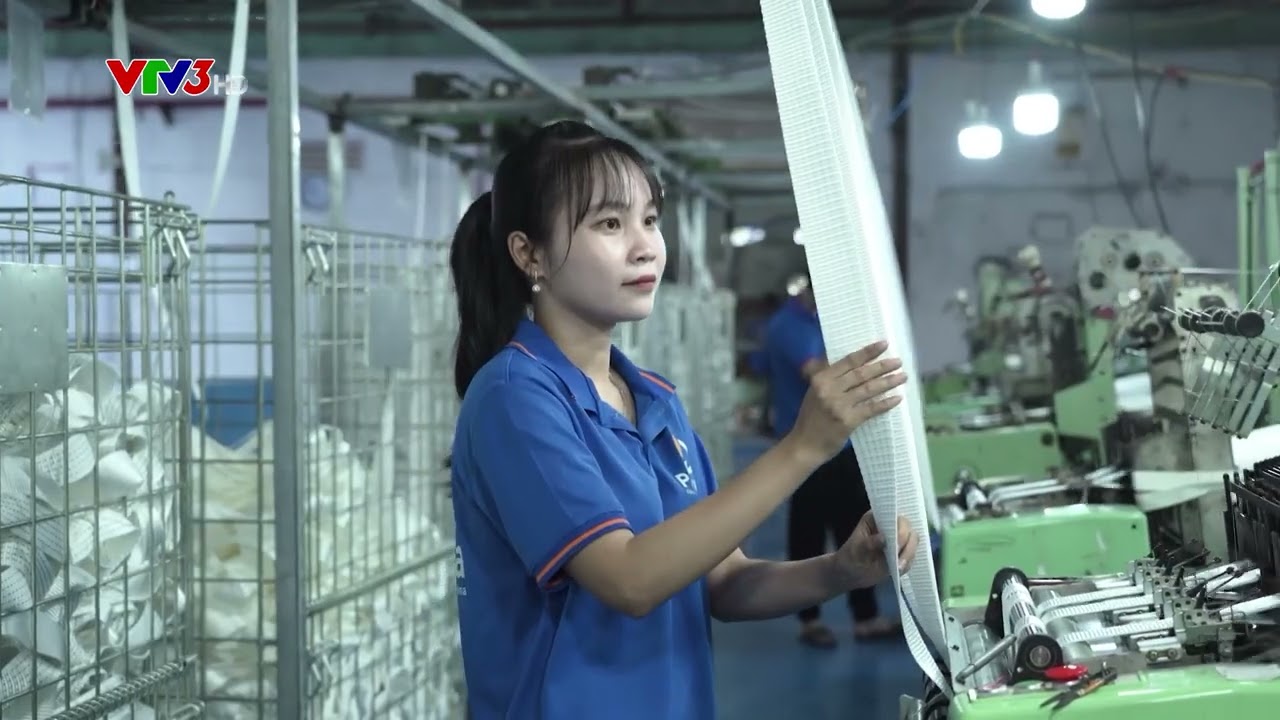Video năng lực nhà máy