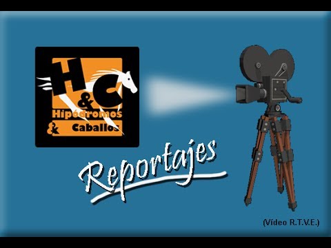 02Mar14 Reportaje : Vaclav Janacek, turf por Maspalomas