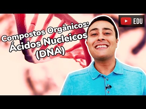 Ácidos Nucleicos | DNA | Prof. Paulo Jubilut