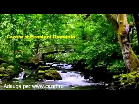 Cazare Gura Haitii, Suceava - Cazat.ro