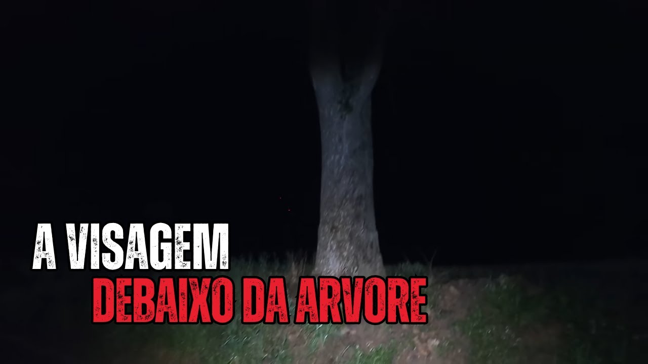 O Que VIVE Nessa Arvore