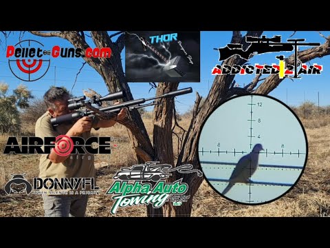 AIRFORCE CONDOR  22  Bashing Pigeons