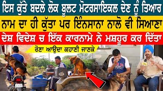 ਕੁੱਤਾ ਹੀ ਨਾ ਸਮਝ ਲਿਓ ਇਸਨੂੰ ਲੈਣ ਲਈ ਲੋਕ ਲੱਖਾਂ ਰੁਪਏ ਦੇਣ ਨੂੰ ਤਿਆਰ | ਗੁਣ ਸੁਣਕੇ ਉੱਡ ਜਾਣਗੇ ਹੋਸ਼ Khabri Dakia video