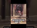 Rod Wave Running