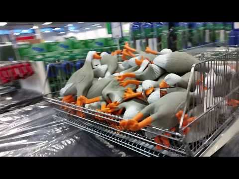 Duck Army of Biltema Tønsberg - YouTube