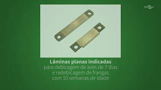Miniatura do vídeo