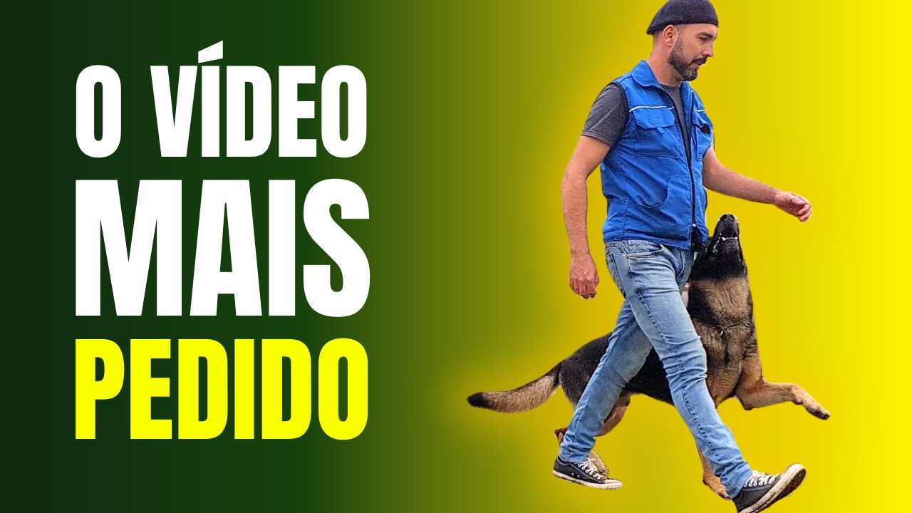 JUNTO FANTÁSTICO - APRENDA como ensinar o COMANDO das provas de adestramento para seu cachorro.