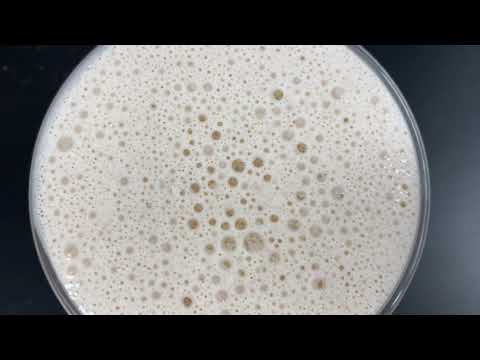 Making a Latte Freddo with the Johny Mixer