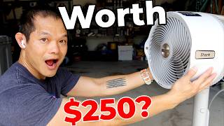Is This Fan Worth $250 - Flexbreeze Pro Mist Fan Review