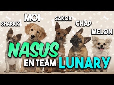 NASUS JUNGLE 1200 STACKS EN TEAM LUNARY !