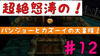 超絶怒涛の！バンジョーとカズーイの大冒険　実況　12