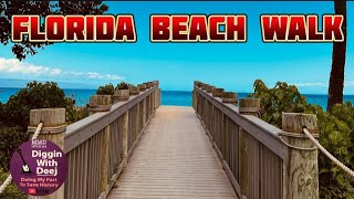 Beachcombing And Wildlife Rescue In Florida