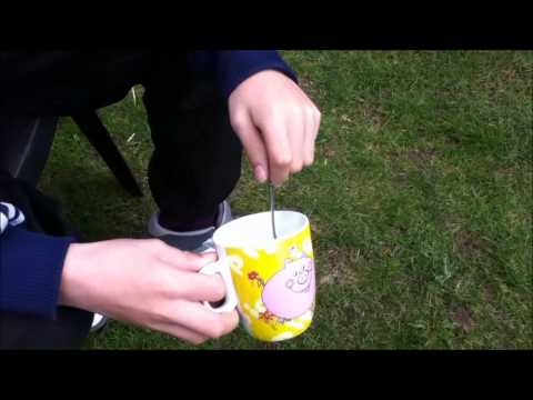 Challenge #2 | Remolade Og Mayonaise