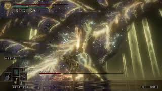 【ELDEN RING】初見エルデンラストバトル！！【エルデン リング】