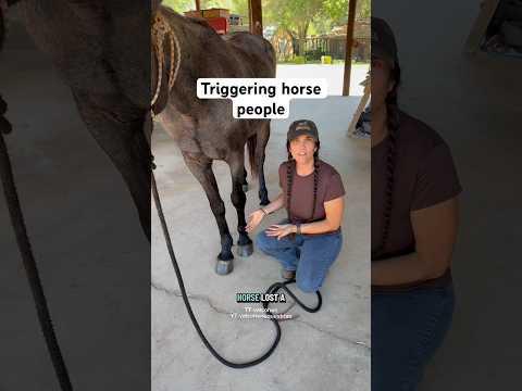 How’d we do? #horse #horsepeople #horsegirl #equestrian #horseriding #farm #western #cowgirl #cowboy