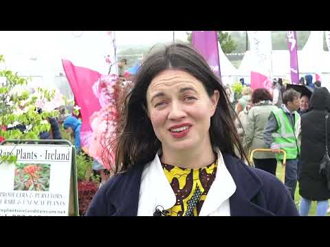 Laois Blooms Festival 2024.