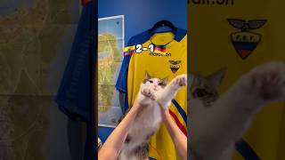 ECUADOR ESCAPED ELIMINATION #ecuador #worldcup