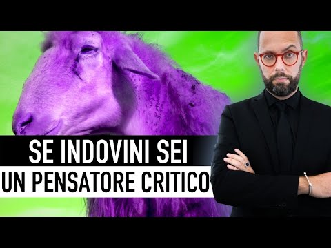 785. Se indovini sei un pensatore critico... o forse NO?