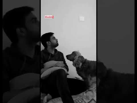 Don't be a sad Shobhit