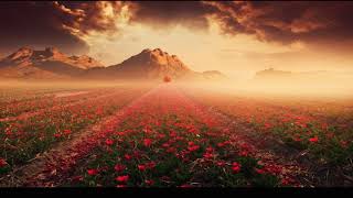 PHAY - NO TEMPTATIONS (OFFICIAL VIDEO)