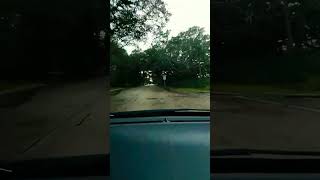 Download lagu I Can See Clearly Now🎙Johnny Nash🔊 mp3