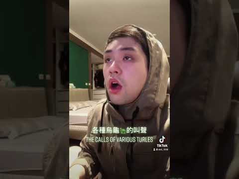烏龜圖片