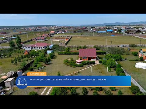 ДАРХАН-УУЛ: “Ногоон-Дархан” хөтөлбөрийн хүрээнд 1.9 сая мод тарьжээ