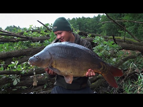 Karpie pod nogami- Vol.5