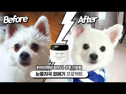 아이엔비 강아지 눈물 자국 지우개 스타터 키트(+파우더 브러쉬 포함)