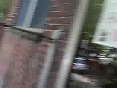 Happy Birthday Hailee!