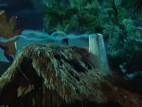 BROUČCI - česká upoutávka