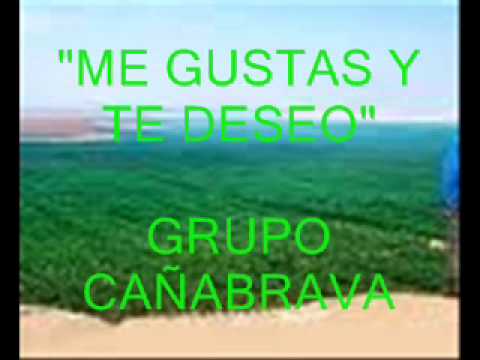 ME GUSTAS Y TE DESEO EL MASTER.wmv