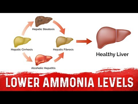 How to Lower Your Ammonia From Liver Cirrhosis - Ammonia Toxicity In Liver – Dr. Berg