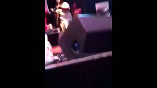 Bula Fest 12' Fangai Lupe Spawnbreezie