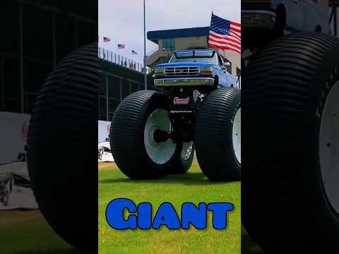 Which Wheels Are The Coolest?